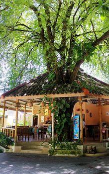 Отель Baan Pron Phateep Таиланд, пляж Патонг, фото 23