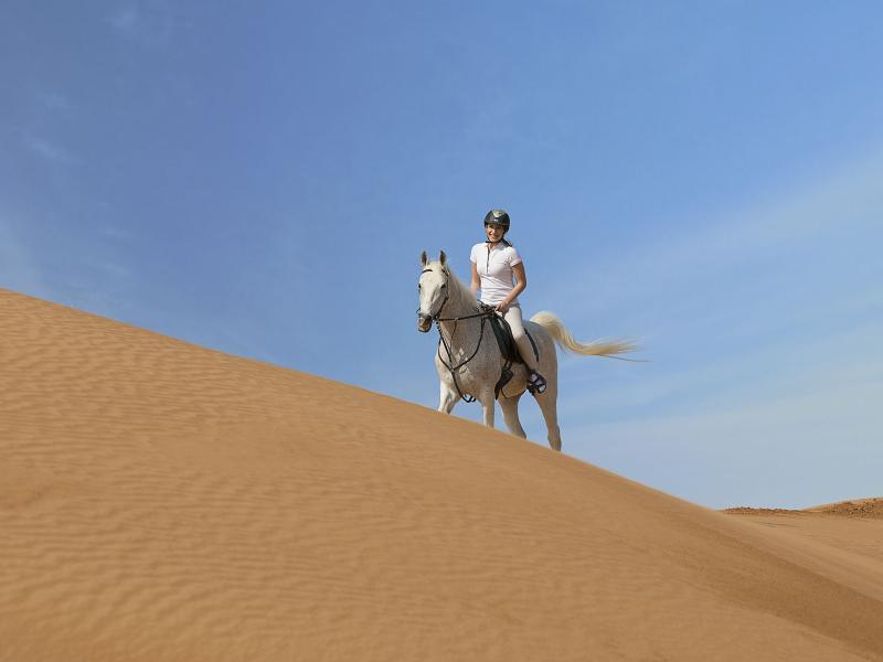 The Ritz-Carlton Ras Al Khaimah Al Wadi Desert