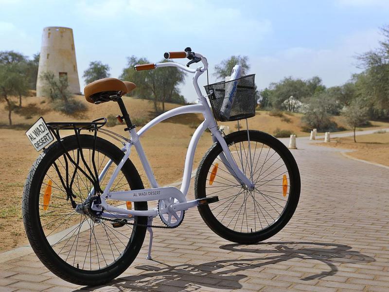 The Ritz-Carlton Ras Al Khaimah Al Wadi Desert