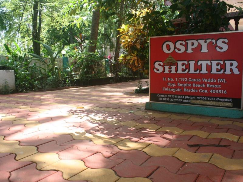 Ospy's Shelter