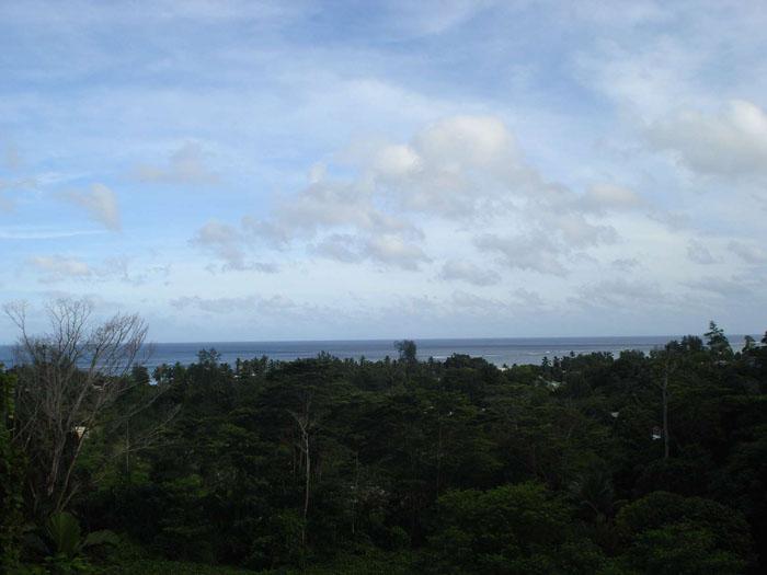 Albizia Lodge Guest House