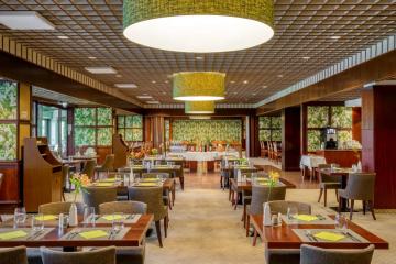 Отель Ensana Thermal Aqua Венгрия, Хевиз, фото 21
