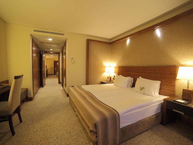 Dedeman Konya Hotel & Convention Center