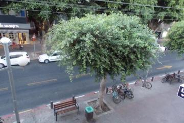 Отель Dizengoff Inn Израиль, Тель-Авив, фото 10