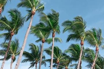 Отель Henann Palm Beach Resort Филиппины, о Боракай, фото 41
