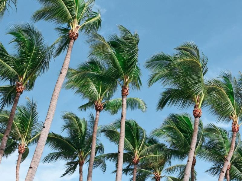 Henann Palm Beach Resort
