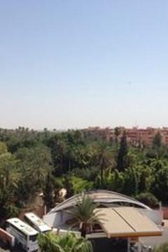 Отель Palm Menara Hotel Marrakech Марокко, Марракеш, фото 56