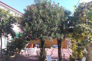 Отель Marco Club Абхазия, Гагра, фото 24