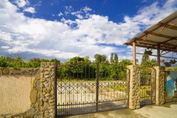 Отель Элина Абхазия, Гагра, фото 2