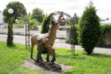 Отель Смена санаторий Россия, Кисловодск, фото 16