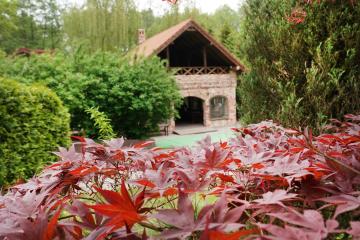 Отель Балтик Спорт Россия, Светлогорск, фото 29