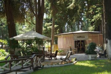 Отель Отель Пицунда Абхазия, Пицунда, фото 6