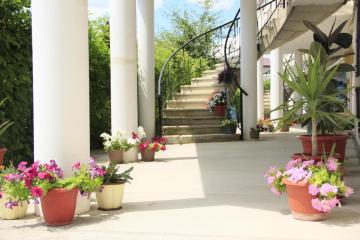 Отель Pegas Guest House Россия, Геленджик, фото 2