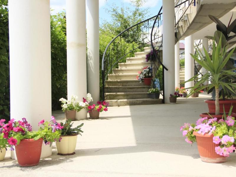 Pegas Guest House