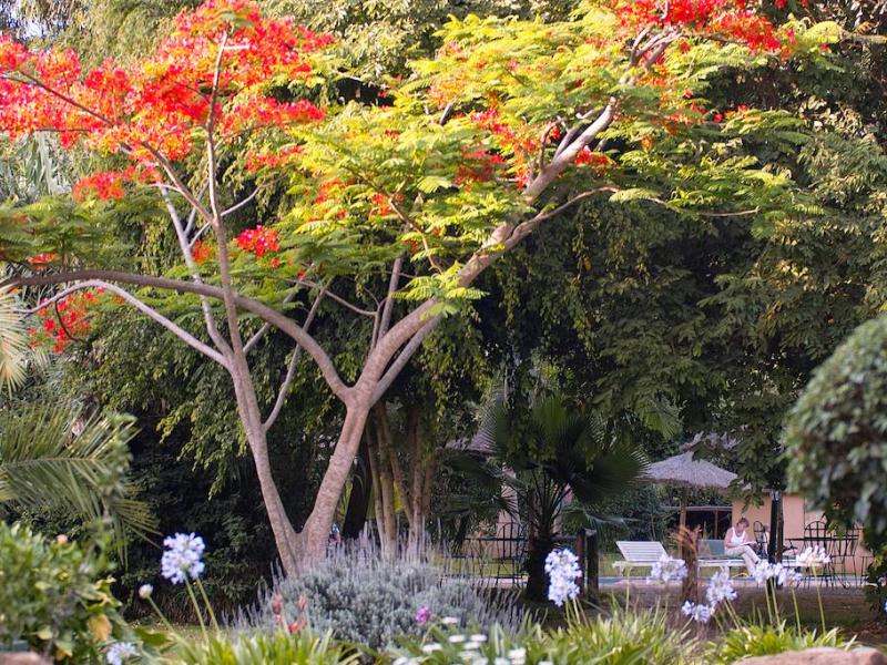Arumeru River Lodge