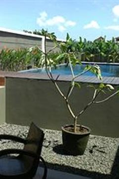 Отель Svarna Hotel Sanur Индонезия, о Бали, фото 24