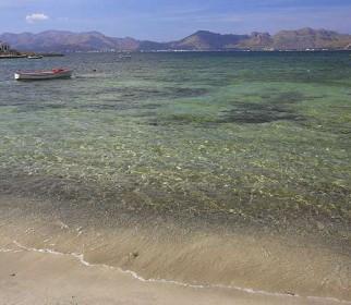 Alcudia