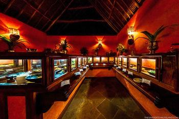 The Sands at Chale Island Hotel
