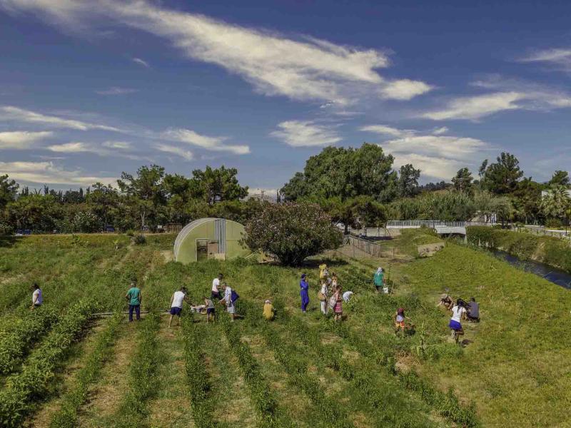 Labranda Lebedos Princess (Sigacik)