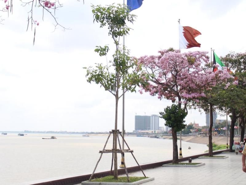 Harmony Phnom Penh Hotel