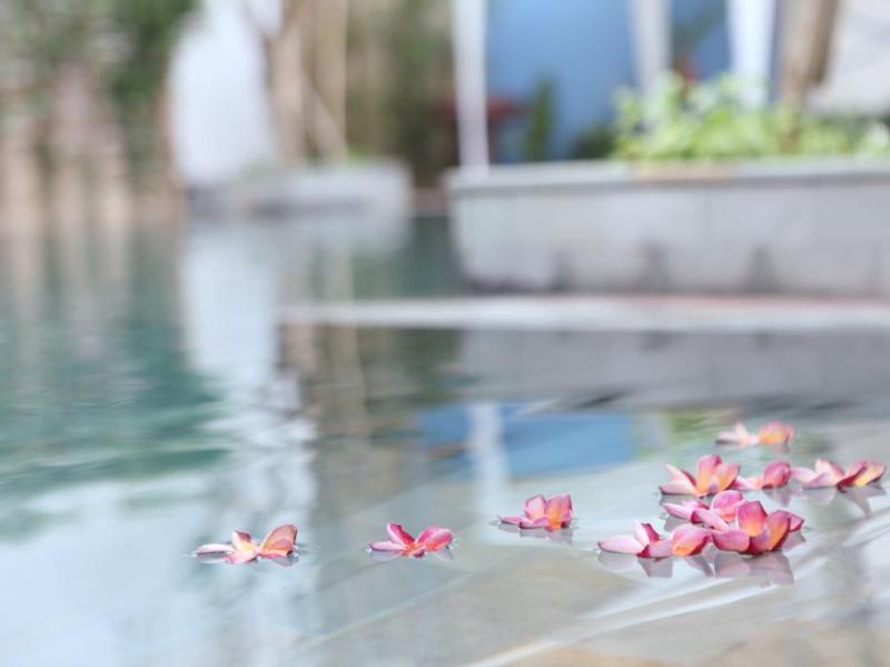 The Frangipani Living Arts Hotel & Spa
