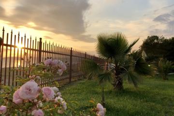 Отель Injir Village Hotel Абхазия, Гудаута, фото 25