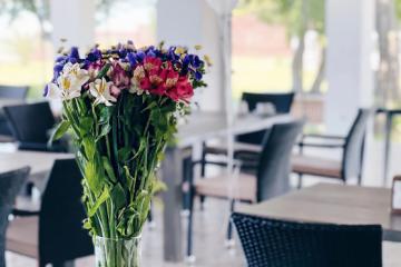Отель Injir Village Hotel Абхазия, Гудаута, фото 27