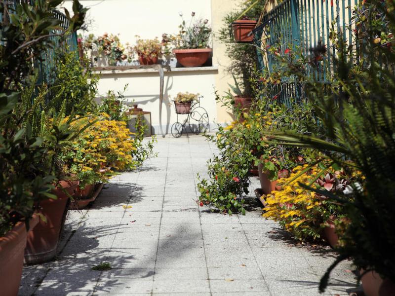 Casa vacanza Stella Elsa