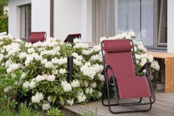 Отель Hotel 12 Россия, Зеленоградск, фото 16