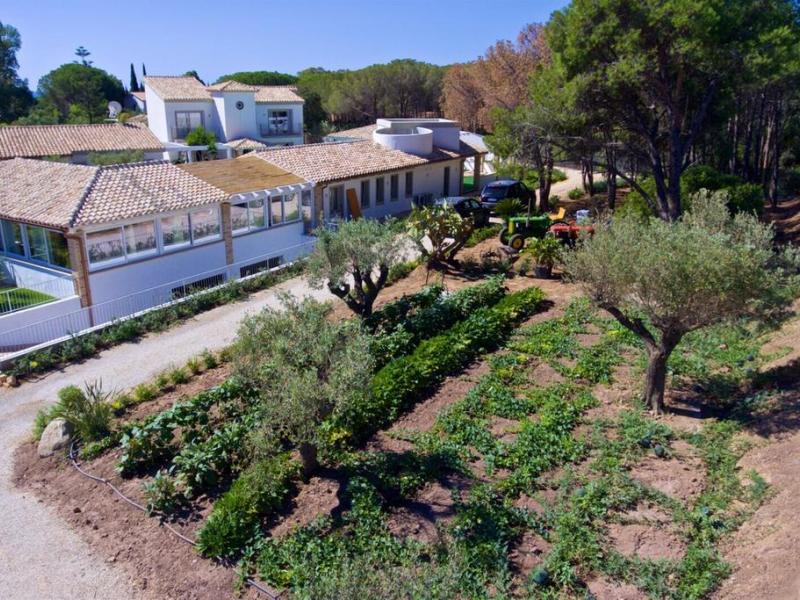 Hotel Eliantos