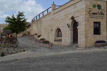 Отель Cappa Villa Cave Hotel & Spa Турция, Ургуп, фото 23