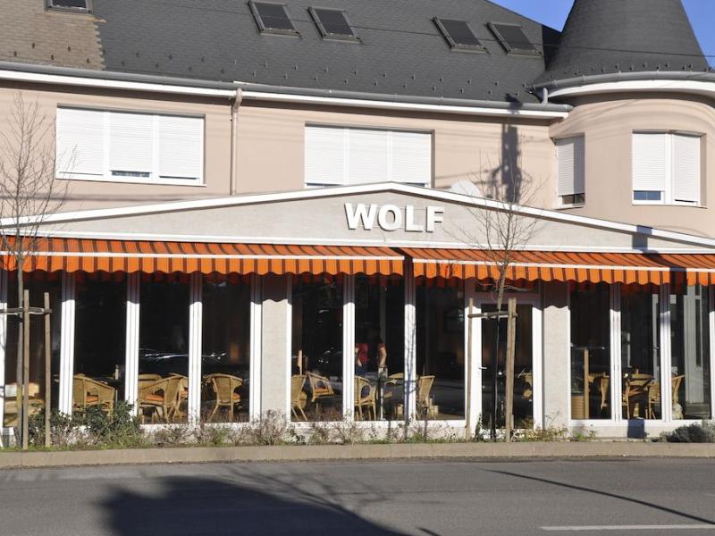 Wolf Panzio