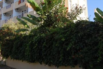 Отель Begonya Hotel Турция, Бельдиби, фото 18