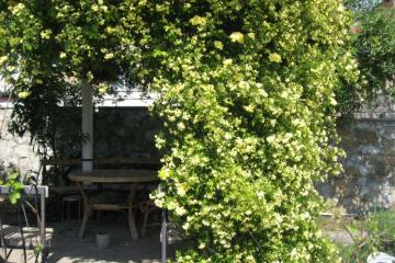 Отель Мини-отель Царь Россия, Ялта, фото 8