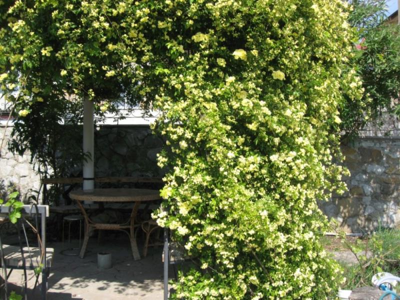 Мини-отель Царь