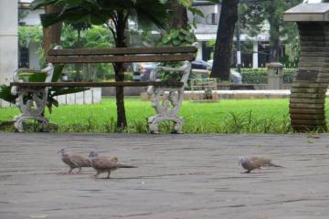 Отель Ambhara Индонезия, о Ява, фото 20