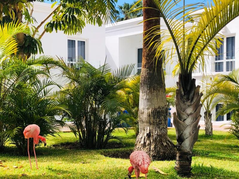 Flamingo Beach Mate