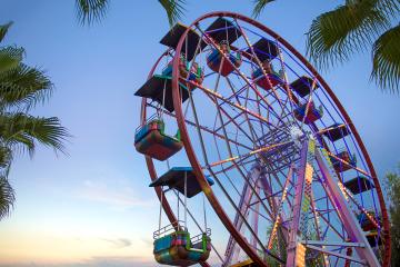 Отель Delphin Deluxe Resort Турция, Окурджалар, фото 41