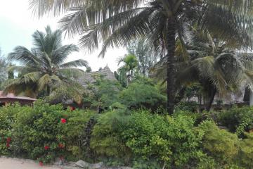 Отель Kihori Bungalows Танзания, Нунгви, фото 10
