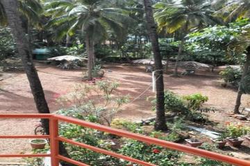 Отель Wavelet Beach Resort Индия, Палолем, фото 7