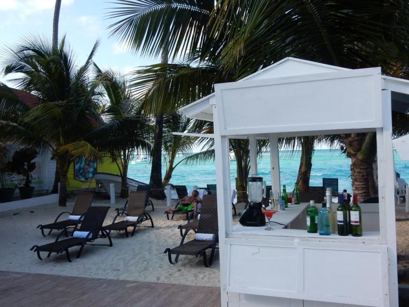 Eleven Palms by Inmense