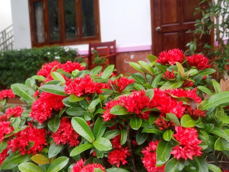 Camellia Resort & Spa