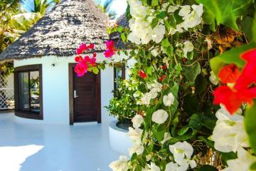 Отель Blue Moon Resort Танзания, Джамбиани, фото 9