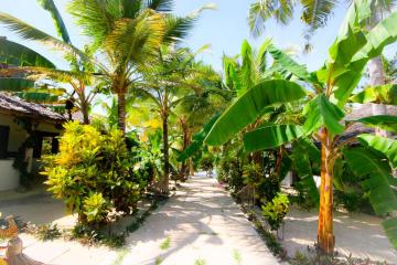 Отель Blue Moon Resort Танзания, Джамбиани, фото 10