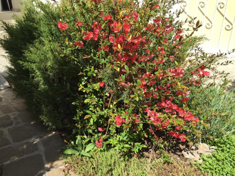 Морская Радуга