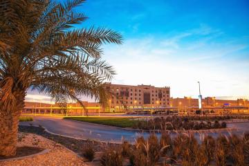 Отель Ayla Bawadi Hotel & Mall ОАЭ, Абу Даби, фото 5