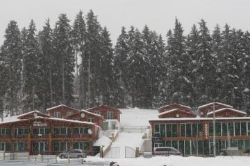 Отель Kokhta Hotel Грузия, Бакуриани, фото 6
