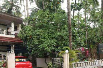 Отель Little Nest Boutique Hotel Индия, Мандрем, фото 10