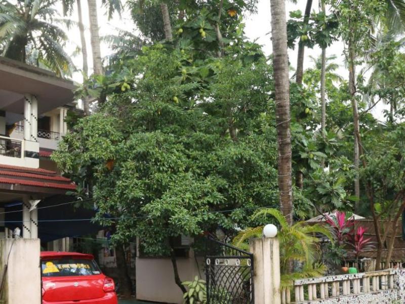 Little Nest Boutique Hotel