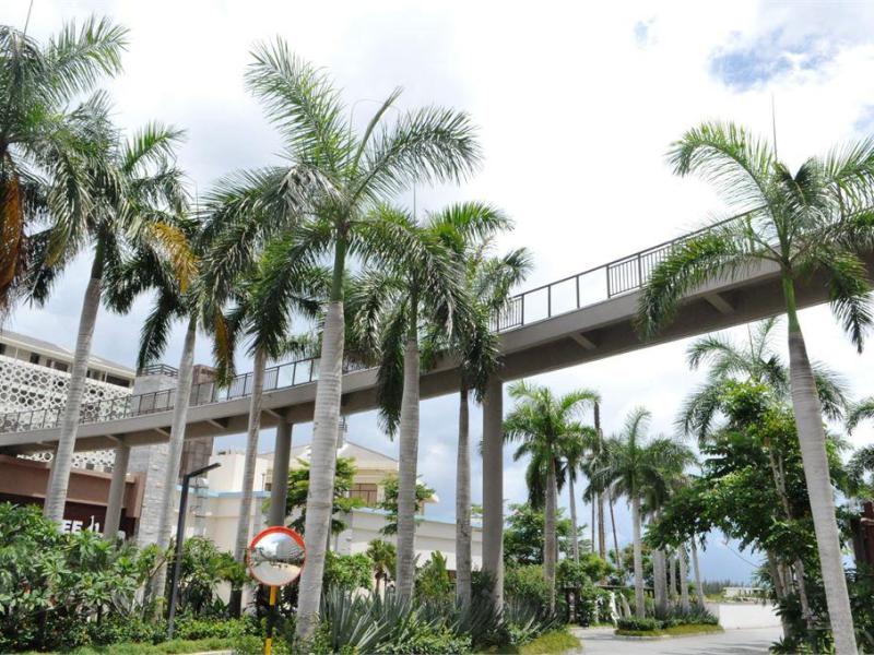 Aloha Oceanfront Suite Resort (Annex Building)